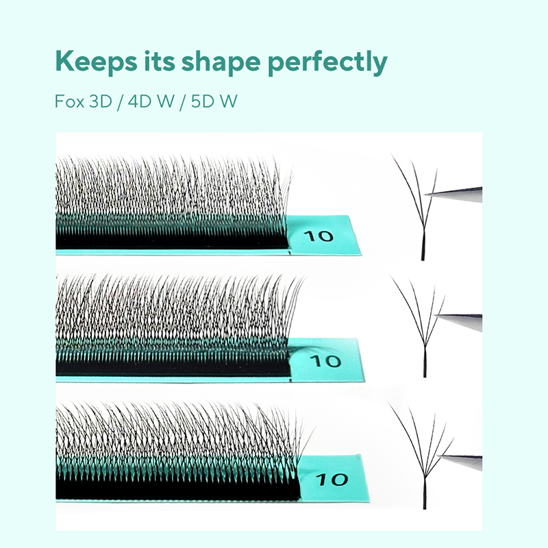 DIYDAY Foxy W-Shaped 3D 4D 5D  - Eyelash Extension Volume Cat Eye review and price