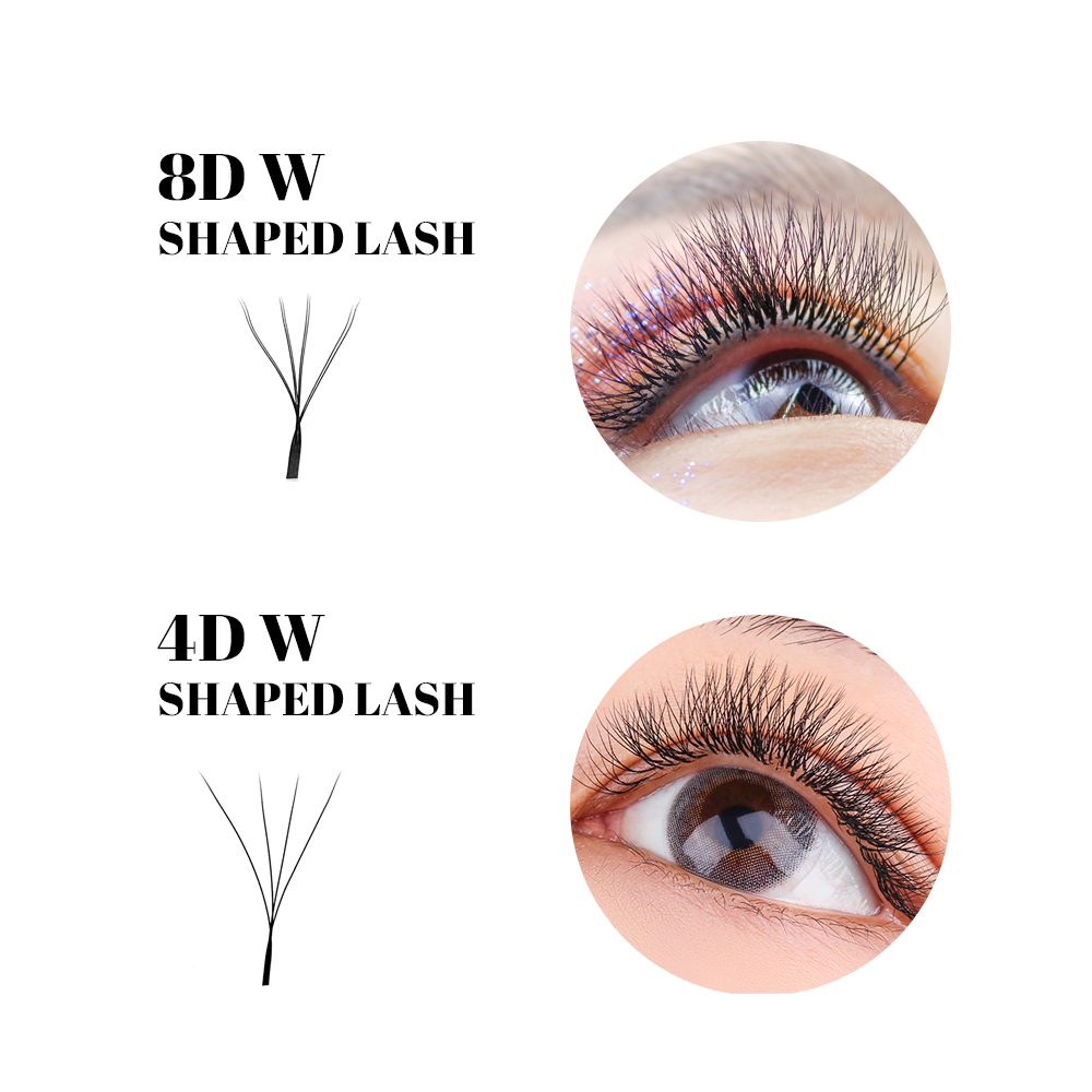 FADVAN W Shape Double Layer Ey - Lash Fan Volume review and price