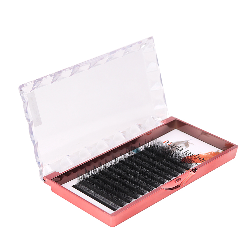 MARIA 10 Cases 4D W Shaped Bea - Lash Fan Volume review and price