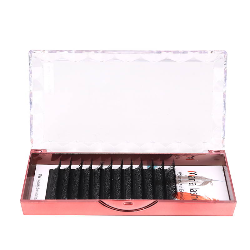 MARIA 10 Cases 4D W Shaped Bea - Lash Fan Volume review and price